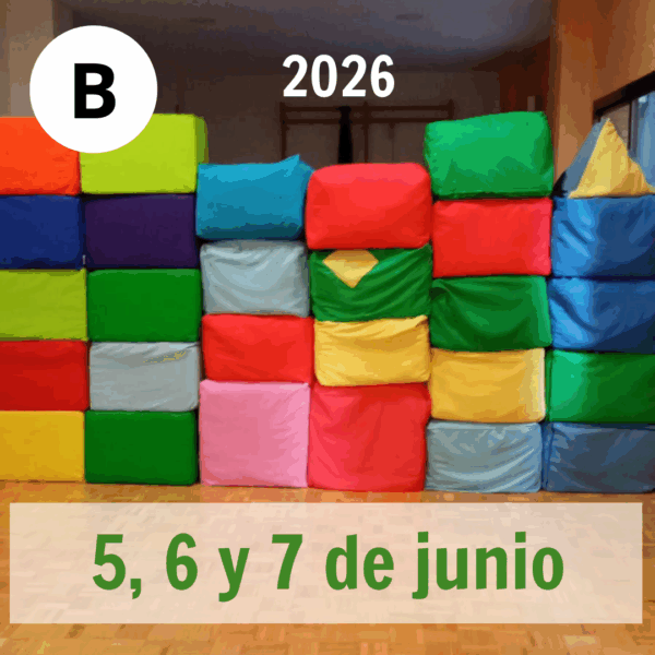 Curso Básico de Práctica Psicomotriz B: 5, 6 y 7 de junio