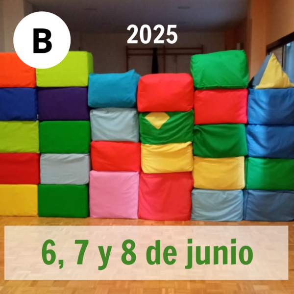 Curso Básico de Práctica Psicomotriz B: 6, 7 y 8 de junio