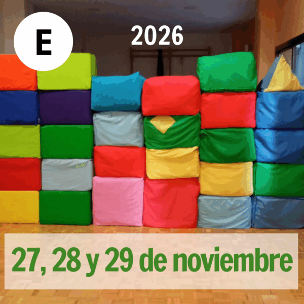 Curso Básico de Práctica Psicomotriz E: 27, 28 y 29 de noviembre